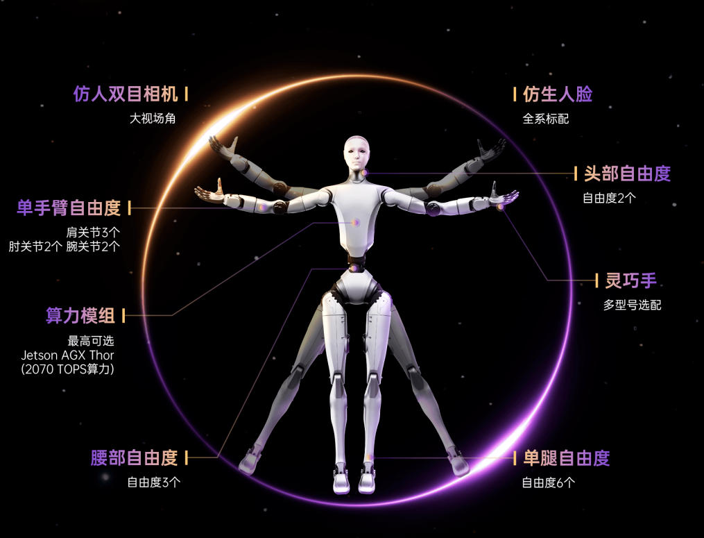 人体结构与机器人系统类比图