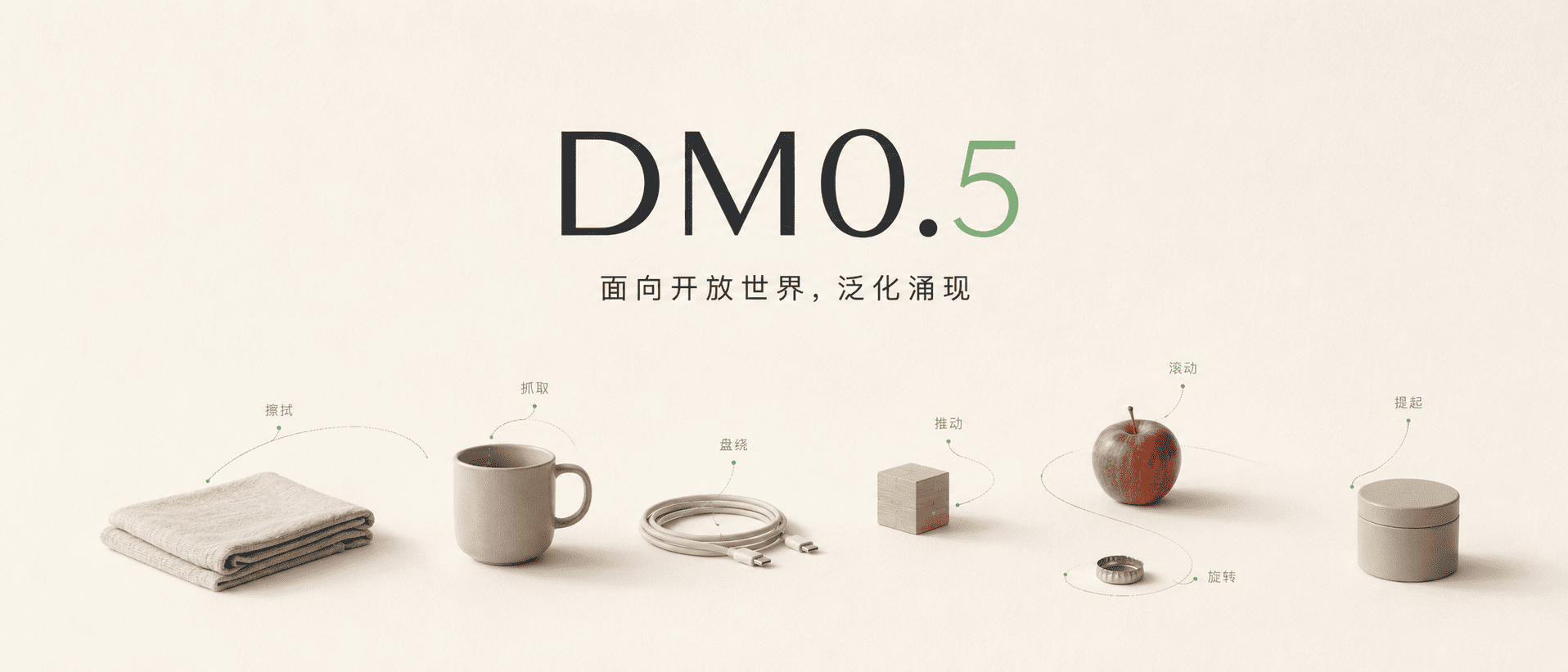 DM0.5 官方项目页头图